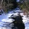 Stream in the cold.