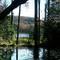 Pillsbury State Park, Bear Pond