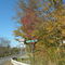 near the state boarder