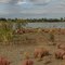 Unnamed wetland N.E. of Darkan.