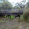 Old railway bridge, Darkan