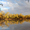 Ourimperee Waterhole, Currawinya NP