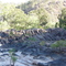 columnar rhylite wild river