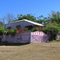 The lilac house