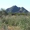 Mt. Riddoch  Harts Ranges NT