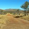 Bush track to the Spotted Tiger Camground about 8 Km from Harts Range Police Station