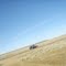 The edge of the Outback. August 2008.