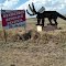 On the Flinders Highway just outside Hughenden, Queensland, Australia