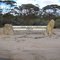 Wave Rock Country
