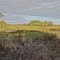 Ingham Wet Lands ''Looks like a Painting''.