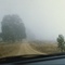 Morning Mist near Millewa