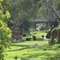 View near the rail trail