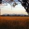 Mt Buffalo at sunset from near Milawa