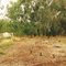 Ovens River (Middle): River Road Reserve