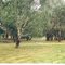 Snow Rd Rest Area by King Rv bridge, Oxley