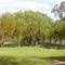 Oxley Recreation Reserve