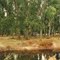 Ovens River, Everton rest area