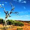 Kings Canyon