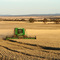 Harvesting at Curtinye farm east of Kimba - 1