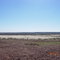 Near Innamincka - View North