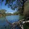 Cooper-River