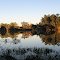 Early Morning Reflections 1