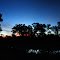 Sunset at Coopers Creek - Innamincka