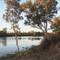 Cooper Creek