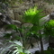 On the way to Boolimba Bluff