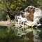 Rock Pool