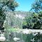 Carnarvon Gorge (2), the habitat of Livistona nitida / QLD (Sep. 1979)