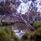 Billabong at Injune on Taroom Road
