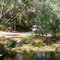 Mitta Mitta State Forest: Snowy Creek Camp Ground