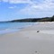 Vincentia Beach