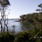 Blenhiem Beach - Vincentia