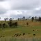 Paysage de Tasmanie