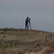 Surveyor