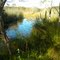 Whistling Kite Wetlands Lagoon.