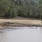Cooper Creek