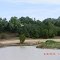 Cooper Creek