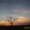 Sunset south of Jerilderie