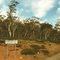 Kosciuszko National Park