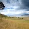 Lake Jindabyne. NSW