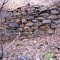 Anglo Saxon Mine tramway retaining wall