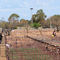 Australia's Largest Country Sheep Market