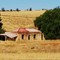 Old Homestead