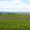 View from Bundaleer Forest border