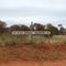 Plenty Hwy, N.T, Australia