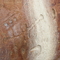 Petroglyphs