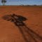 Windmill shadow, Kanandah Station